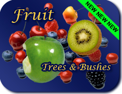 Fruit Trees & Bushes