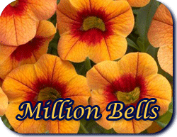 million bells