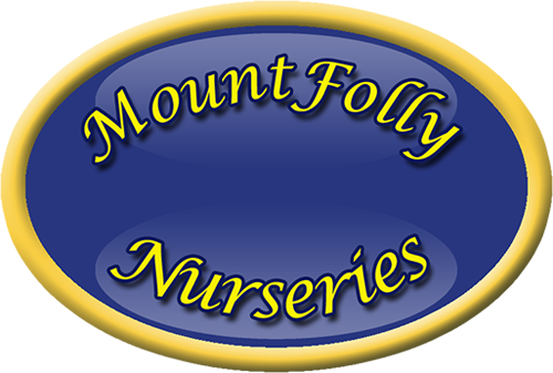 mountfolly_logo